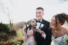 Pet friendly weddings