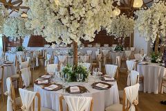 Decor-25