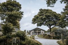 The grounds