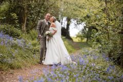 The Bluebells