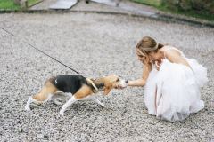 Dogs welcome