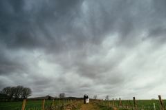 Dramatic skies