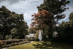 The wedding dress hanging in a tree