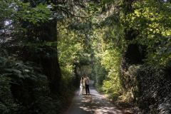 The cornish lanes