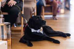 Dog friendly wedding venue