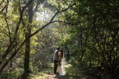 Taking a walk in the woods