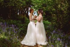 Woodland walk