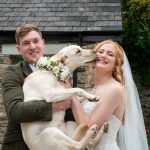 dog friendly wedding venue in cornwall